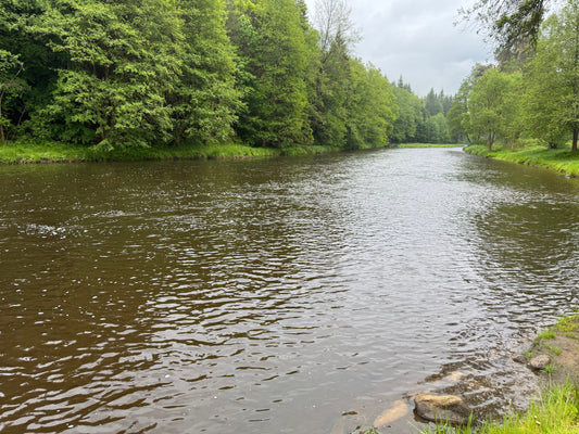 2025 World Fly Fishing Championships Review: Practice and Session 1