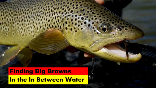 Finding Big Browns In the In Between Water