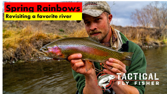 Spring Rainbows: Revisiting a Favorite River