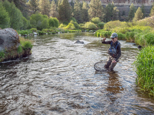 When the going gets tough, fish tight.