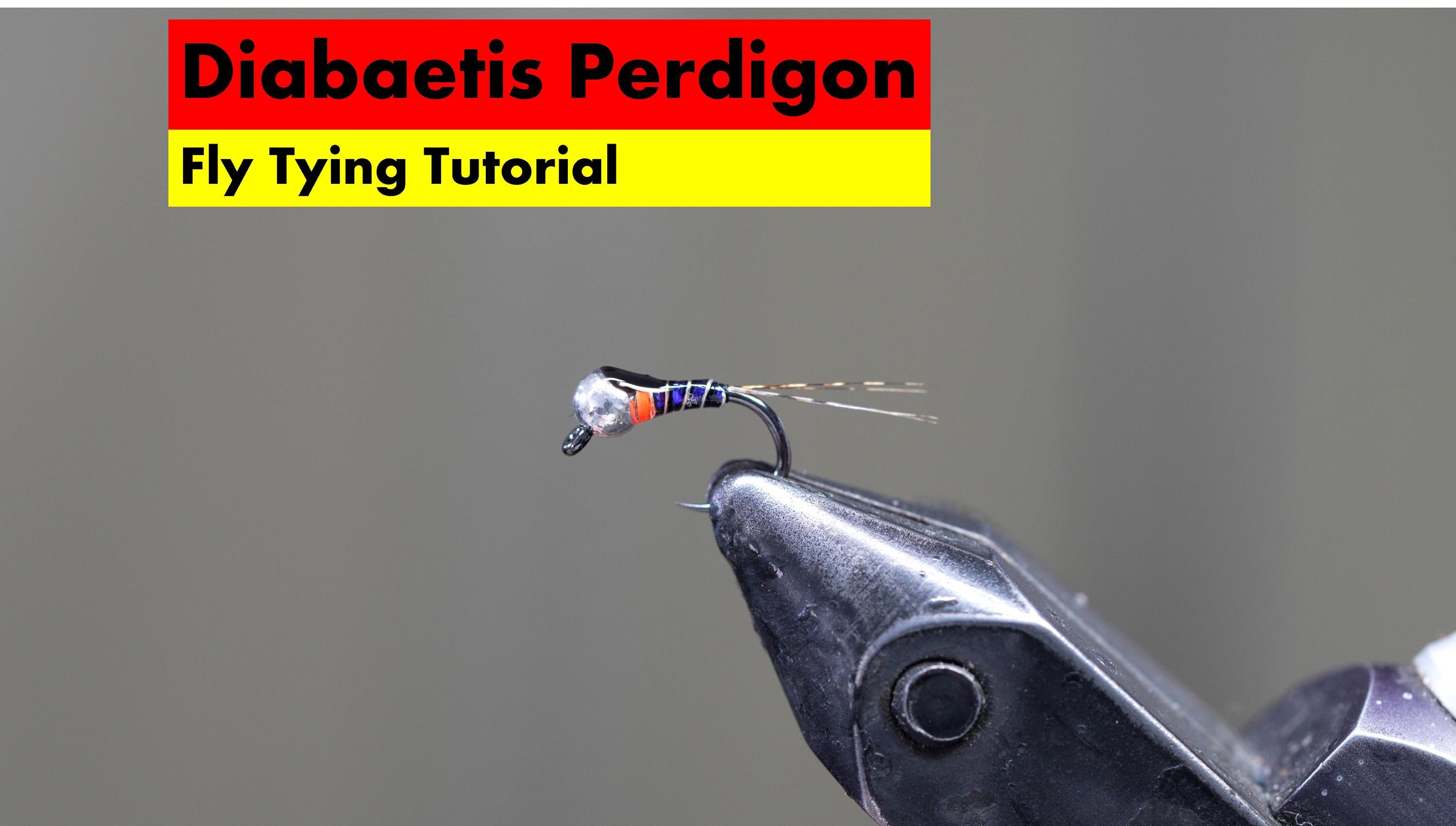 Diabaetis Perdigon Fly Tying Tutorial – Tactical Fly Fisher