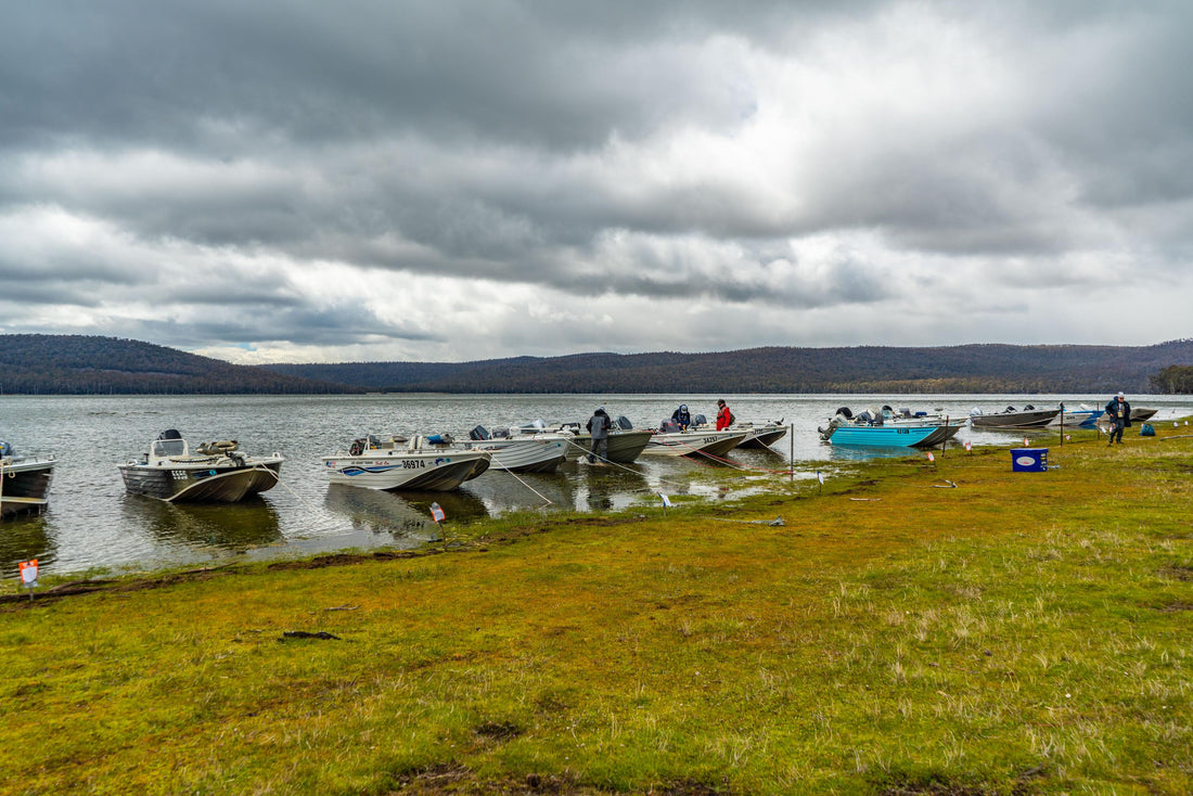 World Fly Fishing Championships in Tasmania 2019: Session 1 on Woods Lake