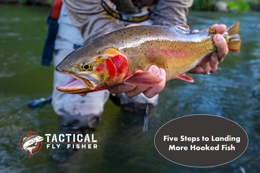 Five Steps to Landing More Hooked Fish