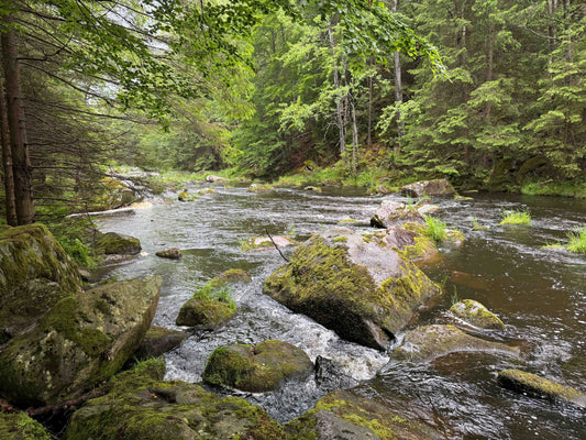 2025 World Fly Fishing Championships Review: Session 4 on the Devil's Stones