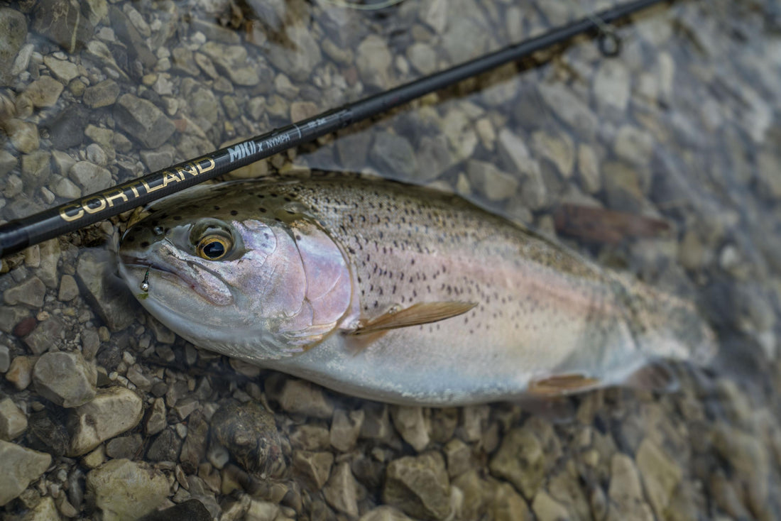 World Fly Fishing Championships Italy 2018 Session 2