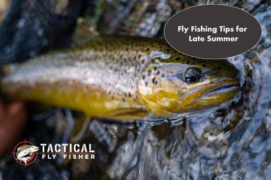 Fly Fishing Tips for Late Summer