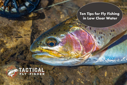Ten Tips for Fly Fishing in Low and Clear Water