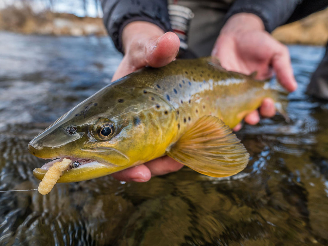 The Mop Fly Tying Tutorial
