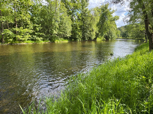 2025 World Fly Fishing Championships Review: Session 2 on the Otava River