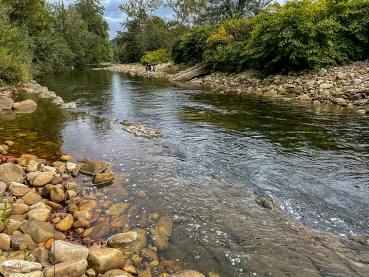 World Fly Fishing Championships 2022 in Asturias Spain: Session Two on the Pilona River