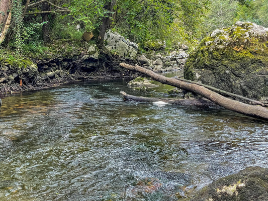 WORLD FLY FISHING CHAMPIONSHIPS 2022 IN ASTURIAS SPAIN: SESSION THREE ON THE TRUBIA RIVER