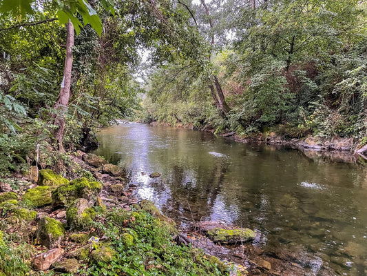 World Fly Fishing Championships 2022 in Asturias Spain: Session Four on the Narcea River