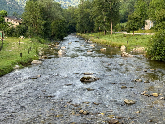 World Fly Fishing Championships 2024 Review: Session 4 on the Vicdessos River