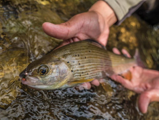 2017 World Fly Fishing Championships in Slovakia Part One