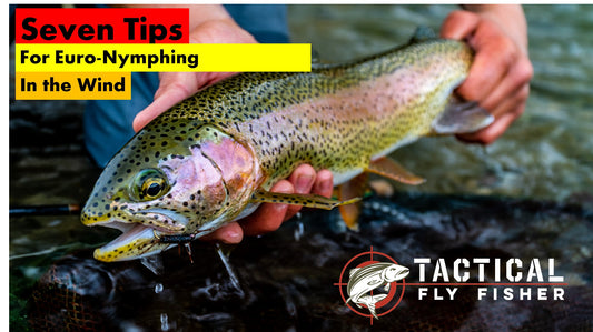 Seven Tips for Euro-Nymphing in the Wind