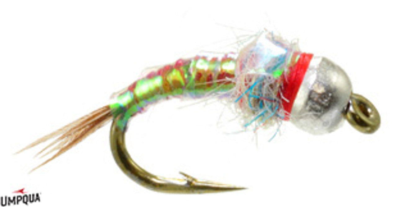 Lance Egan's Rainbow Warrior (extra heavy)