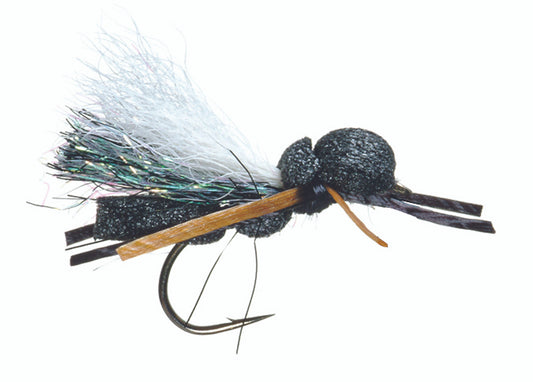 Carl's Cicada