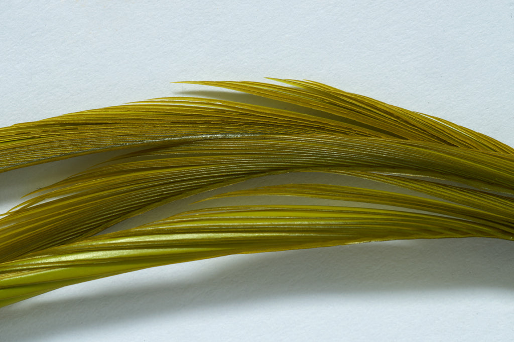 Fulling Mill Premium Selected Goose Biots