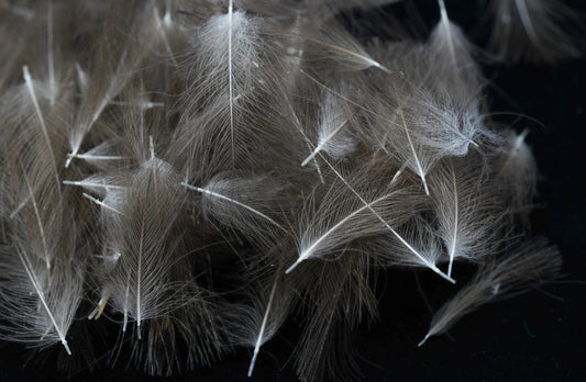 Tactical Fly Fisher wild Czech CDC