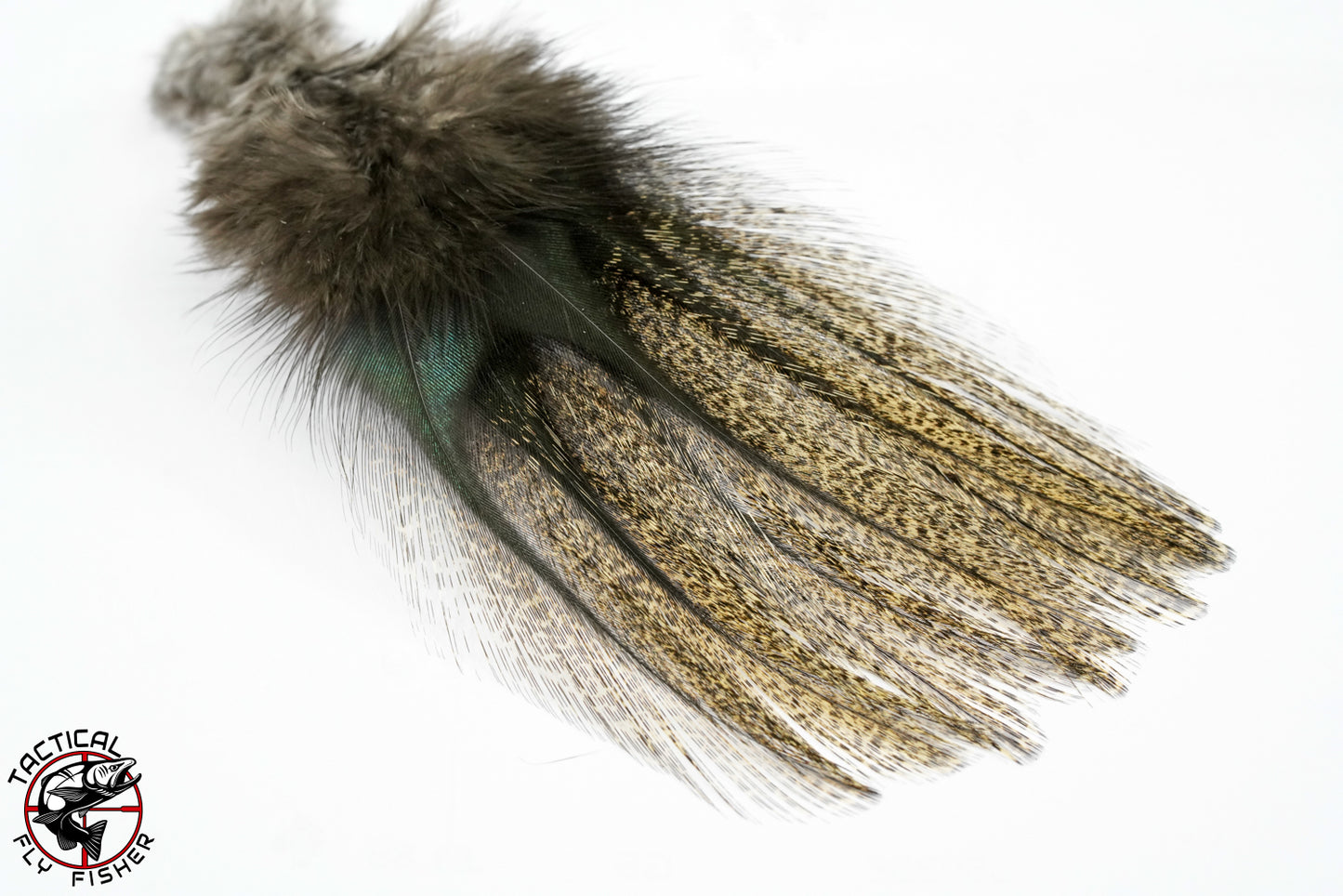 Tactical Fly Fisher Coq de Leon (CDL) Imported From Spain
