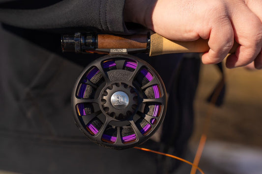 Ross Evolution FS Fly Reel