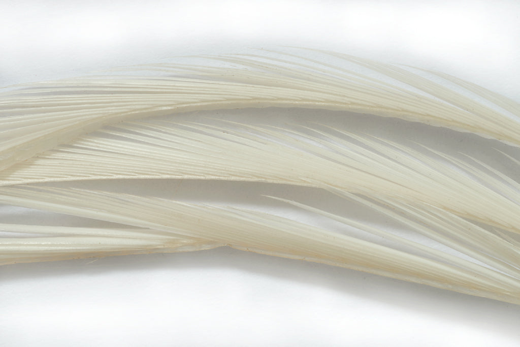 Fulling Mill Premium Selected Goose Biots