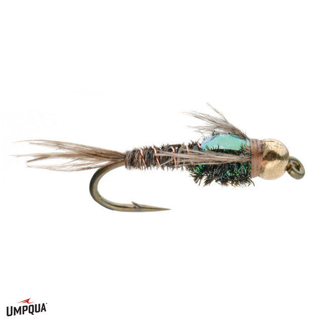 Flashback Pheasant Tail (PT) – Tactical Fly Fisher