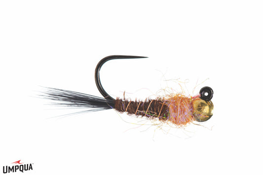 Egan's Frenchie Jig
