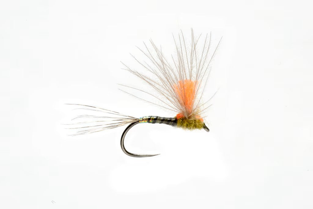 bird feather fly fishing lure london npr Olsen's PED (Performance Enhancing Dun) – Tactical Fly Fisher