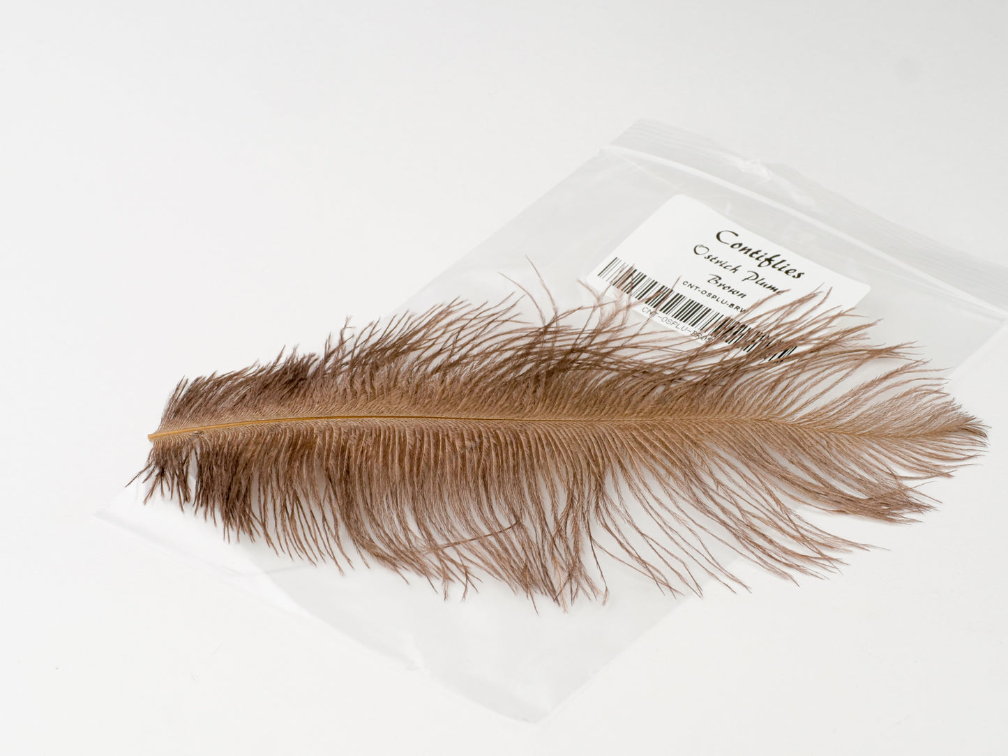 Ostrich Plumes