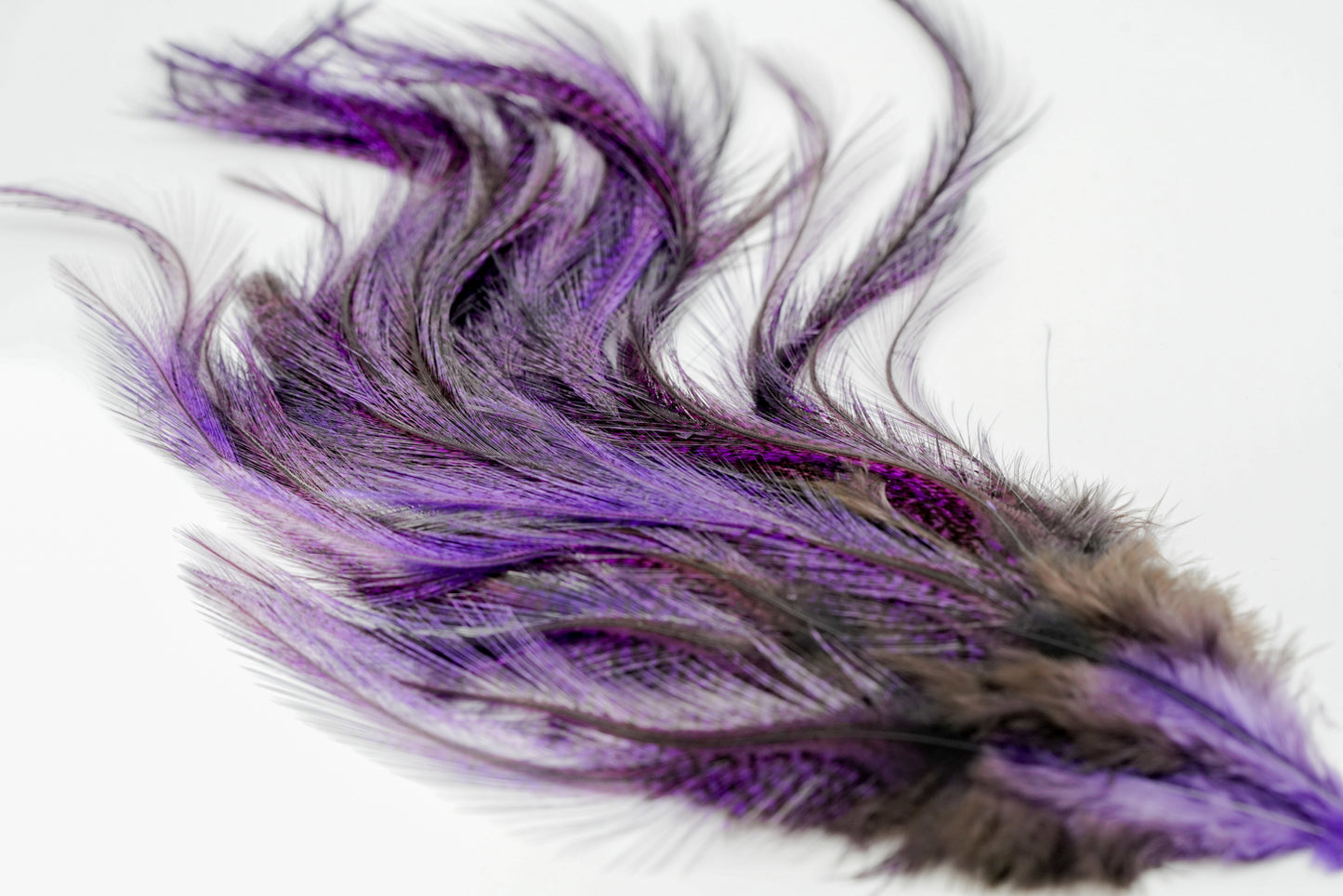 Whiting Euro Nymph CDL Tailing Packs