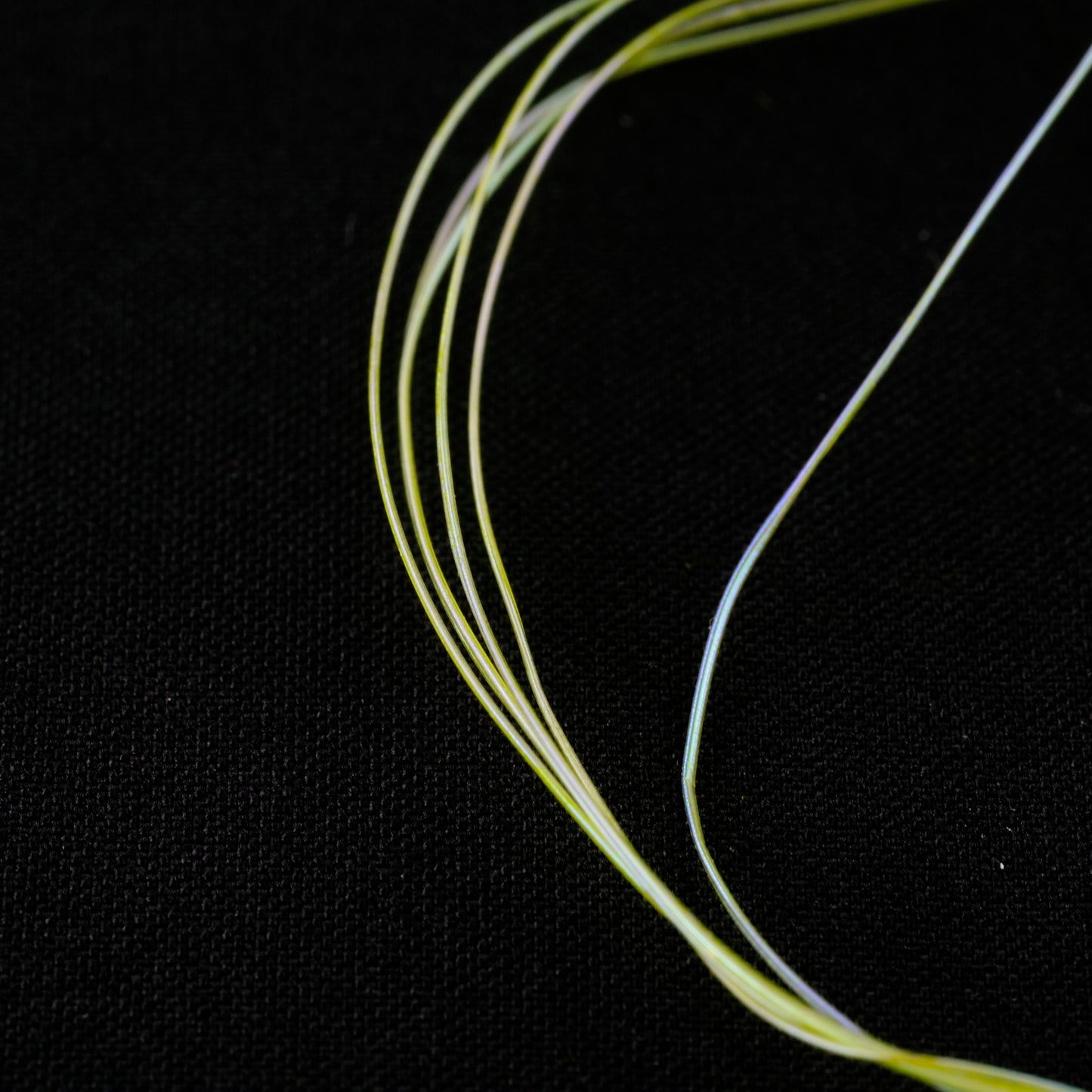Dohiku Quill Body/Ribbing