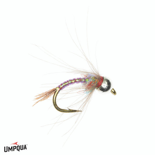 Egans CDC Rainbow Warrior