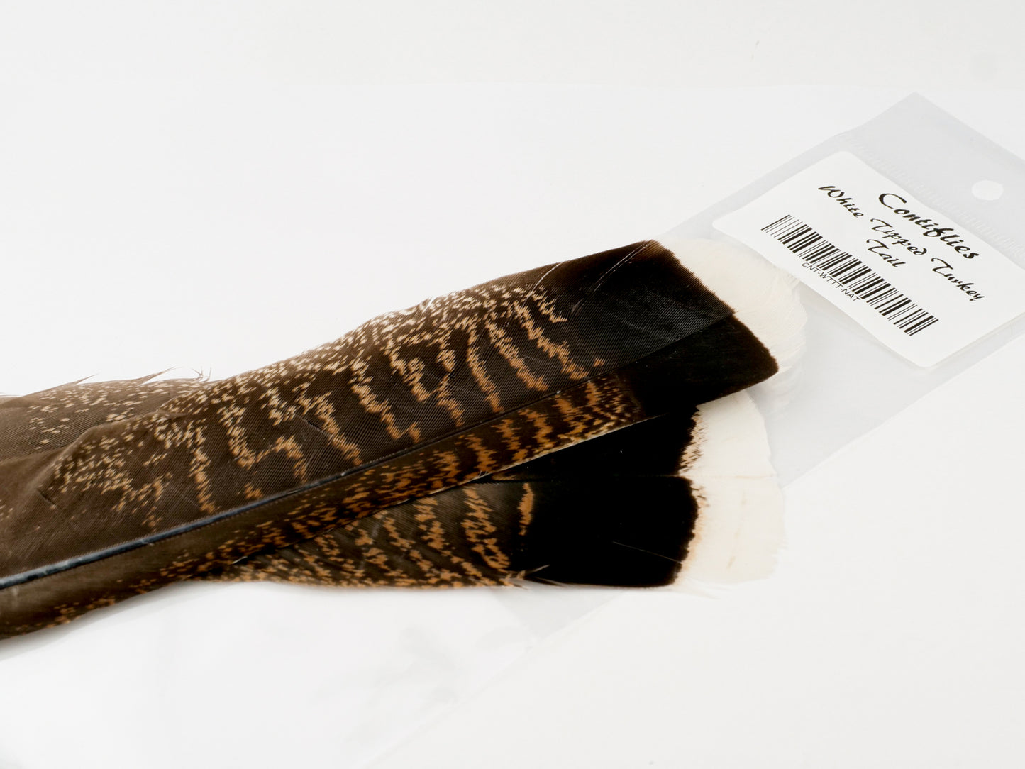 Contiflies White Tipped Turkey Tail