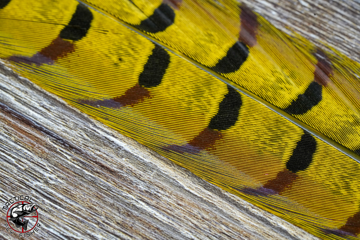 Fasna Center Pheasant Tail