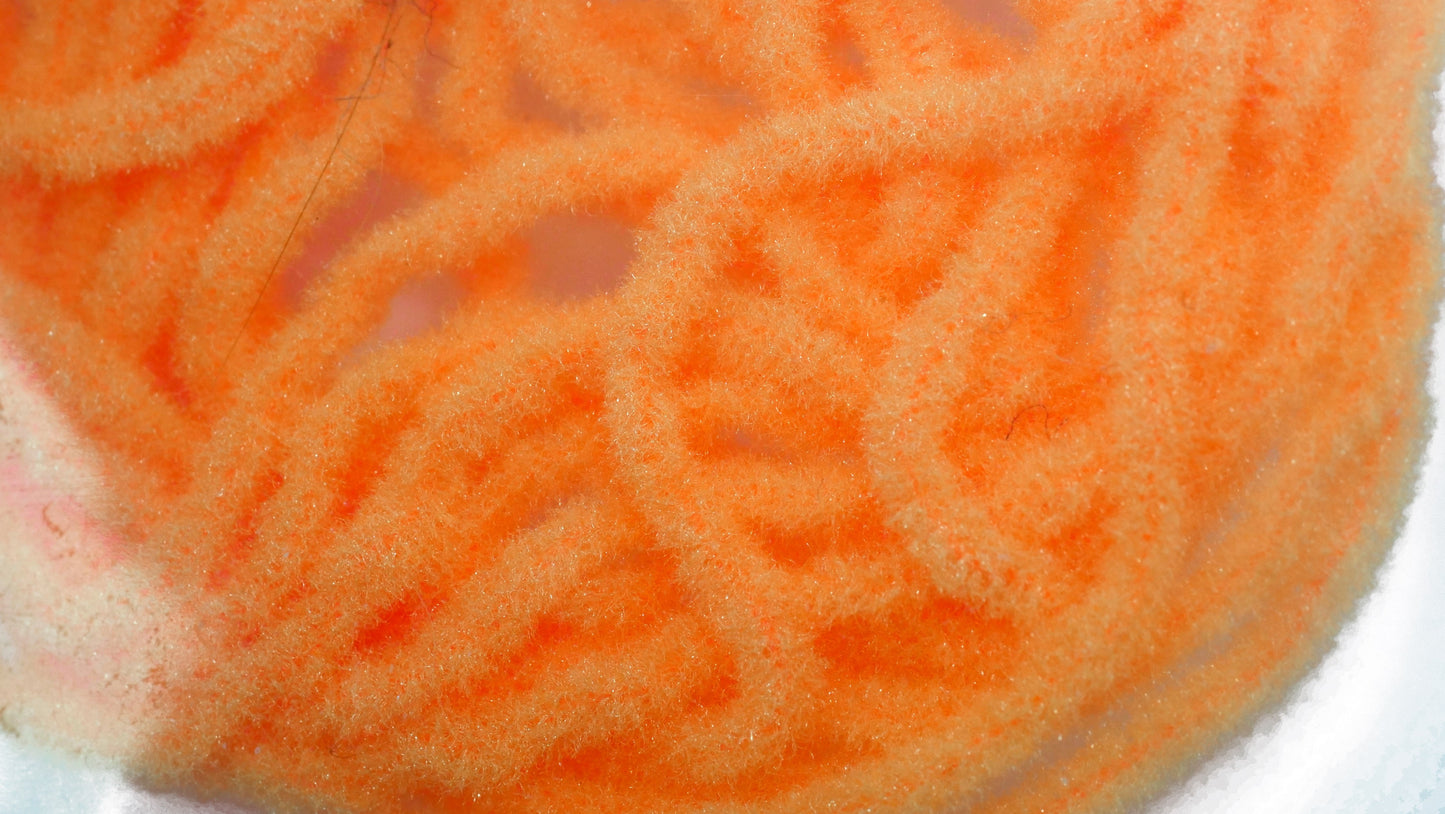 Fasna Worm Chenille