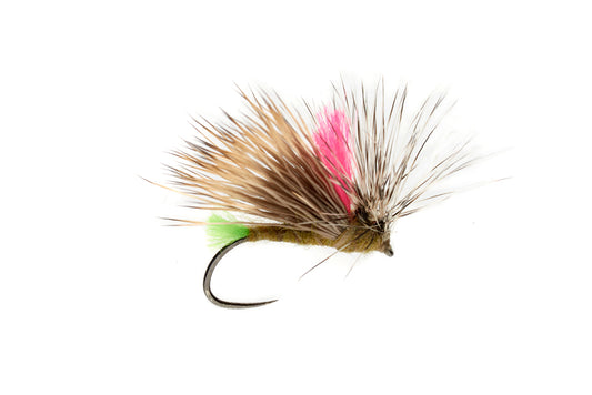 Olsen's Front End Loader Caddis