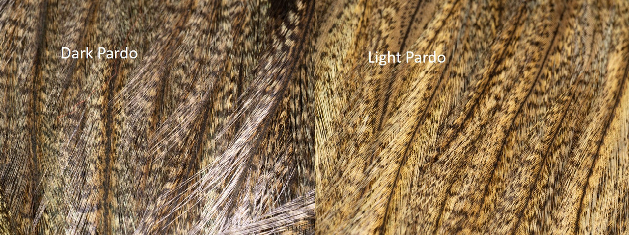 Whiting Coq de Leon (CDL) Bronze Grade Saddle