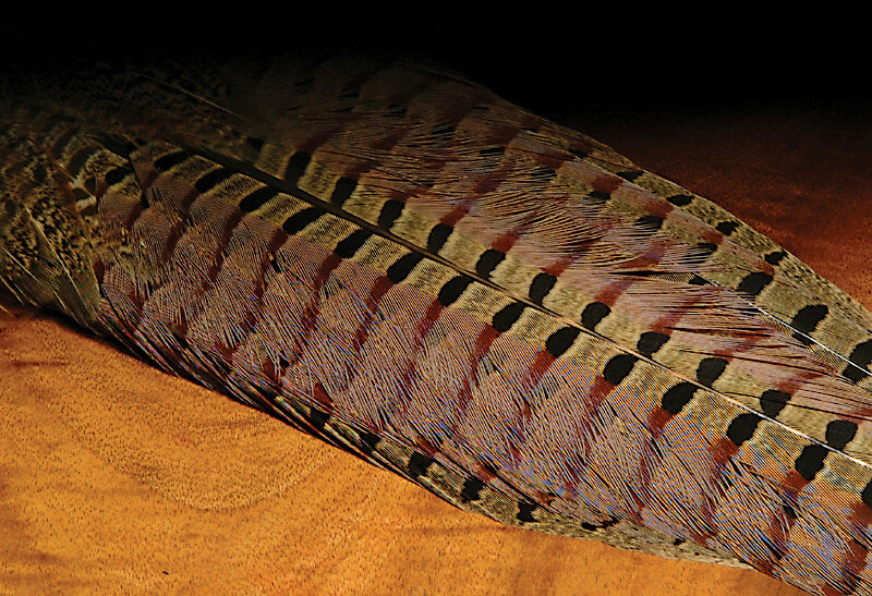 Hareline Ringneck Pheasant Tail Clump