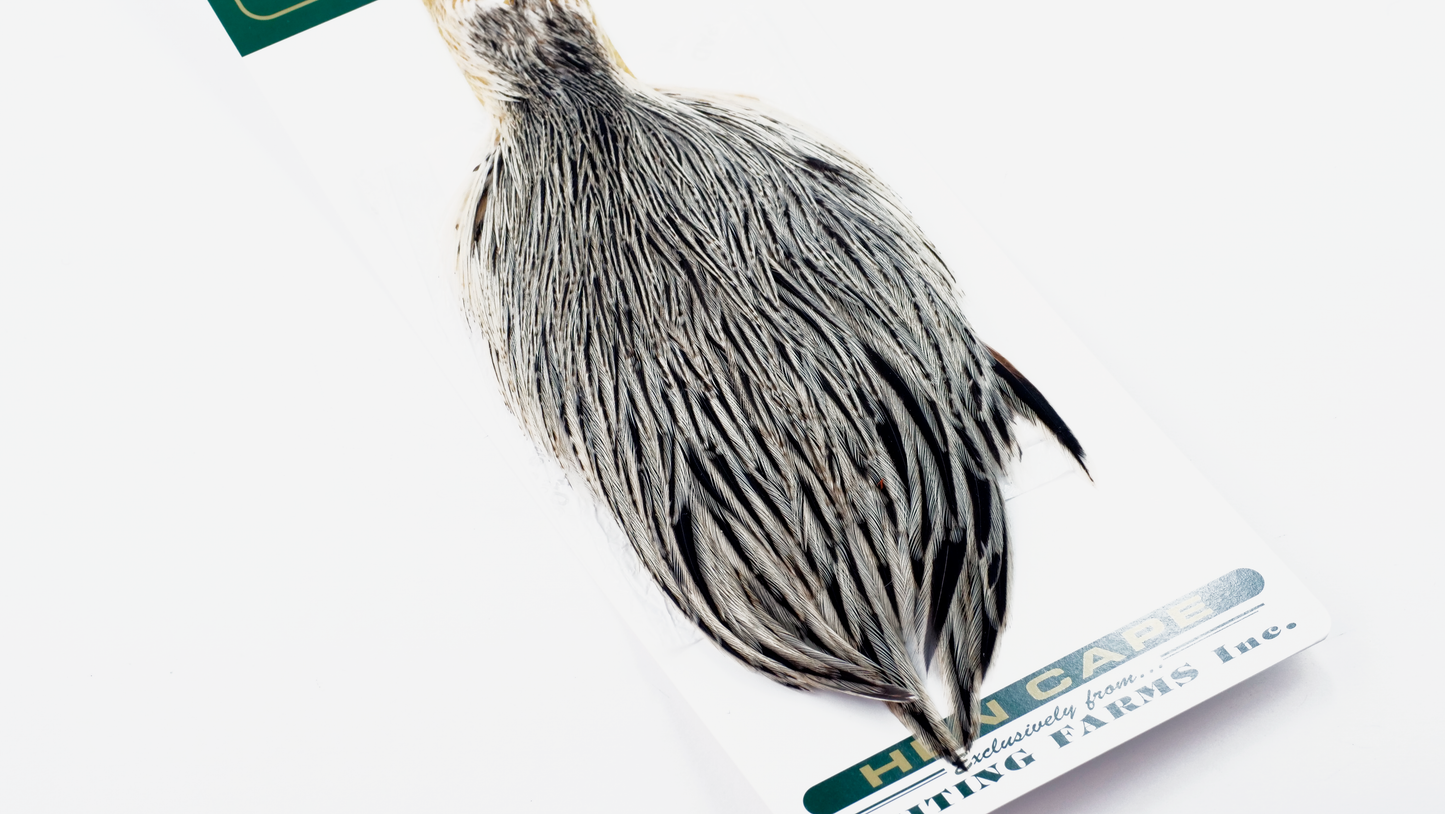 Whiting Farms Hebert Miner Hen Cape