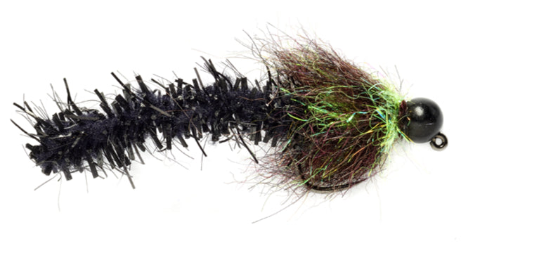 Roly Poly Leech