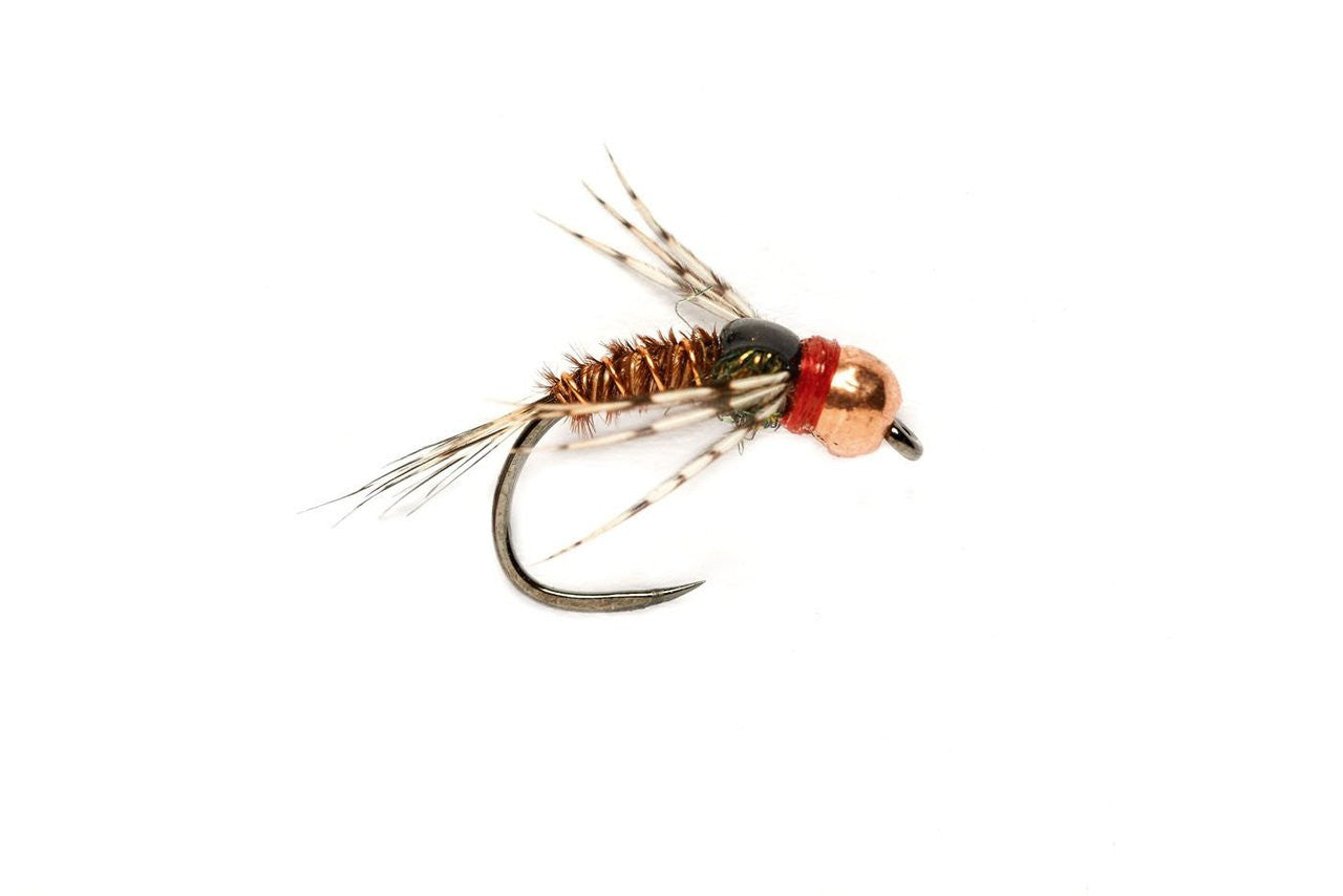 Red Collar Pheasant Tail Leggy