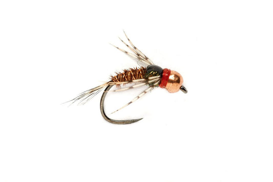 Red Collar Pheasant Tail Leggy