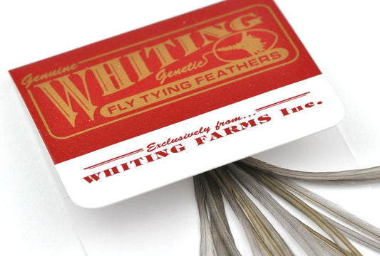 Whiting/MFC 100 Packs (dry fly saddle hackles)