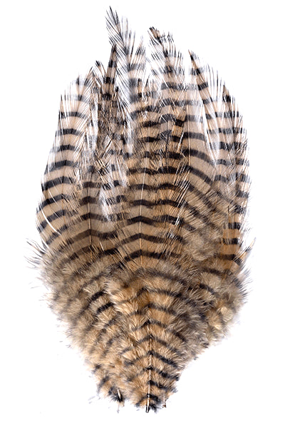MFC Dyed-Barred Saddle Hackle