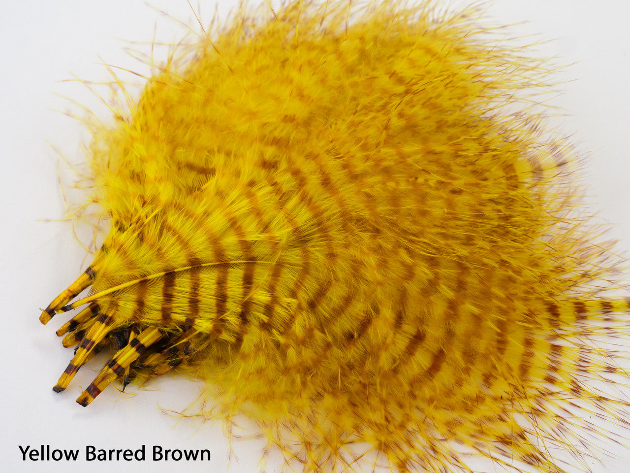 Montana Fly Company Mini Barred Marabou