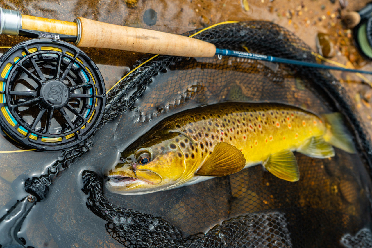 Thomas and Thomas Paradigm Fly Rod – Tactical Fly Fisher