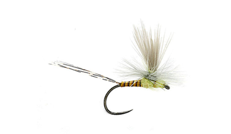Lexi's Get'er Dun Mayfly