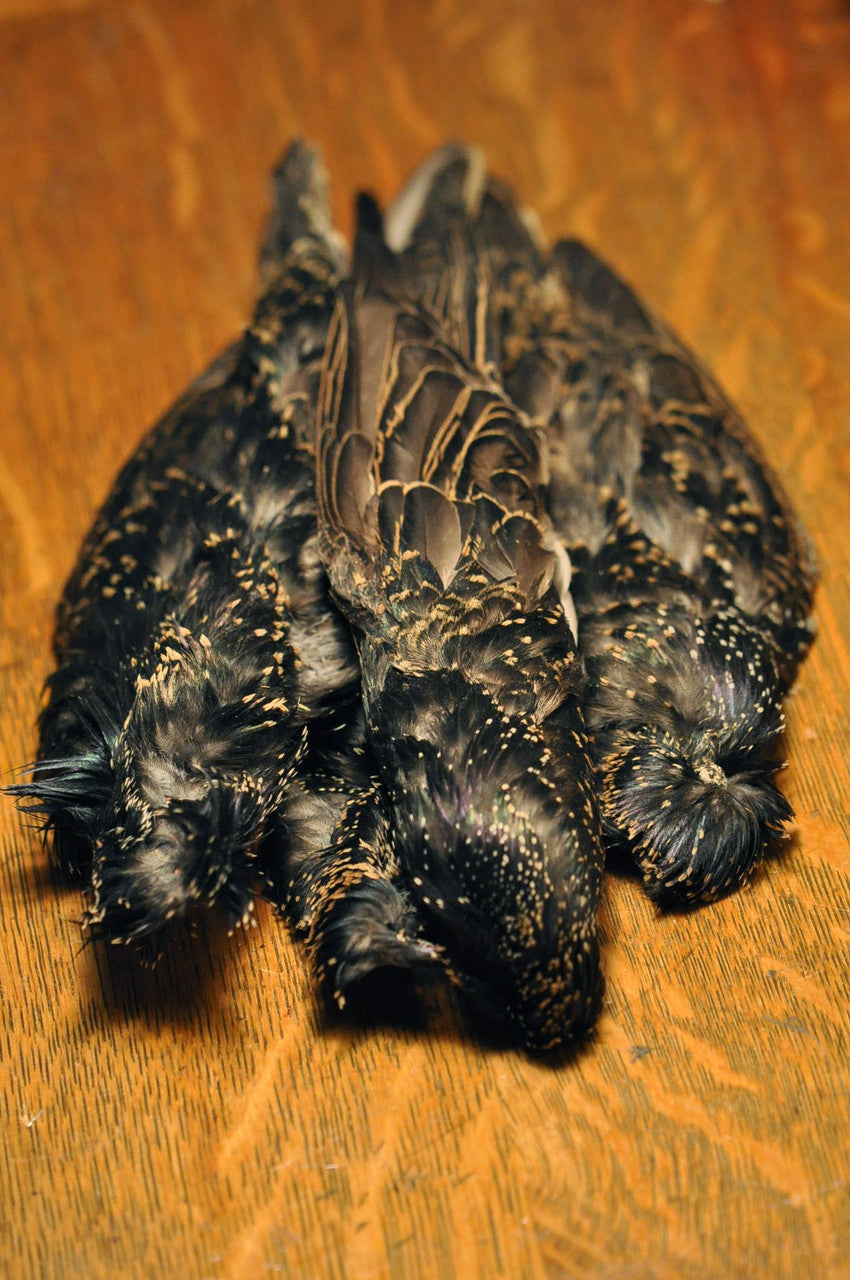 Hareline Starling Skin