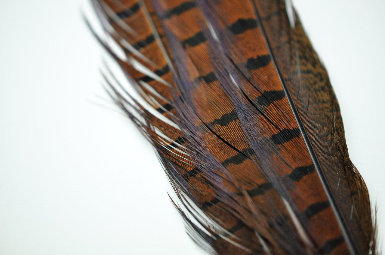 Pheasant Tail Feather Hair Clip per Each